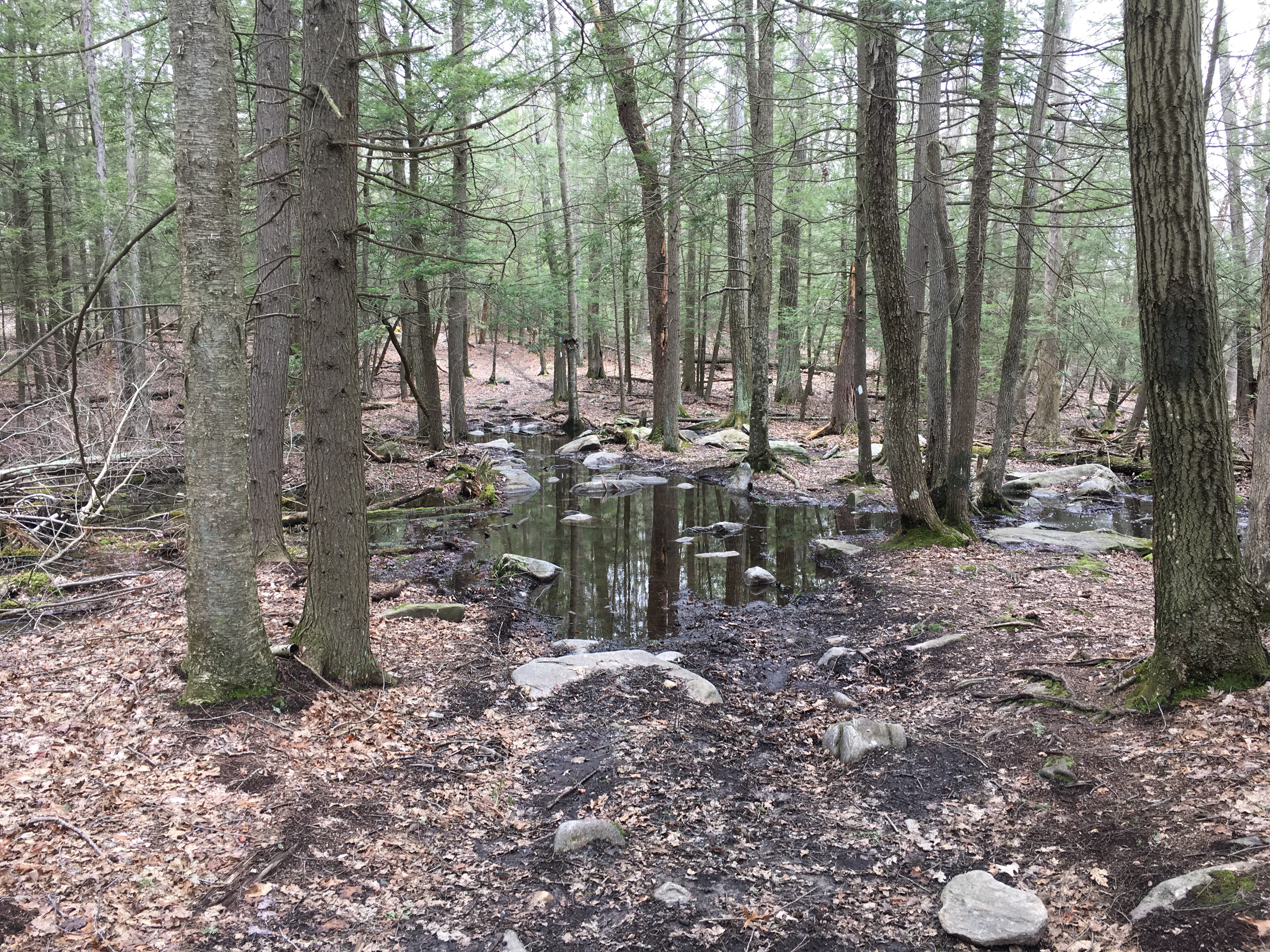 Soapstone Mountain Hike – Midlife Hiker